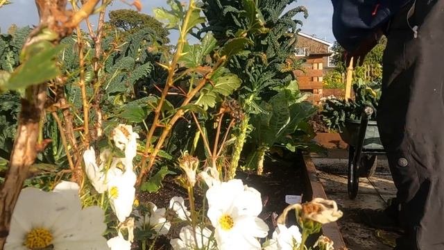 There Must Be A Better Way - Allotment Gardening with Tony
