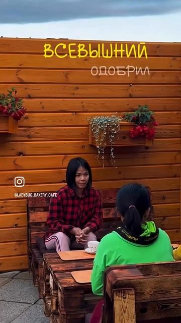 Обеды весь день, домашние десерты, хлеб из печи и приятная атмосфера - кафе « Божья коровка»!