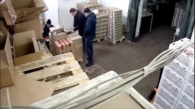 DOWNLOAD 20170227094100 1001 8