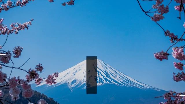 Big Lower Thirds V 4 Premiere Pro