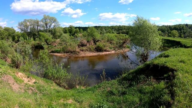 Прогулка вдоль речки Протва #travel #nature