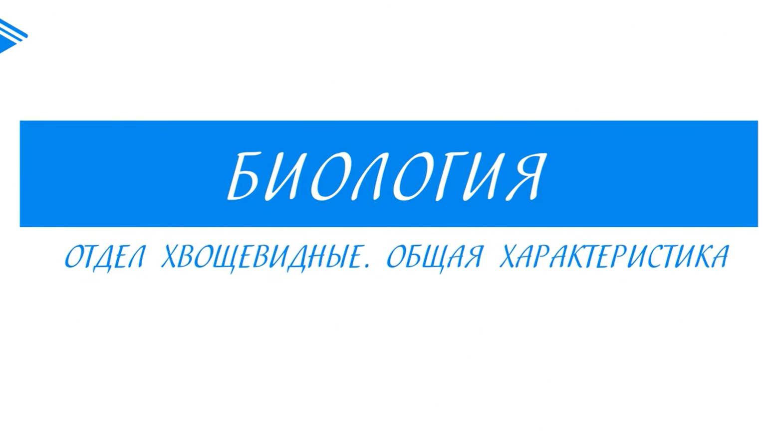 6 класс - Биология - Отдел Хвощевидные. Общая характеристика