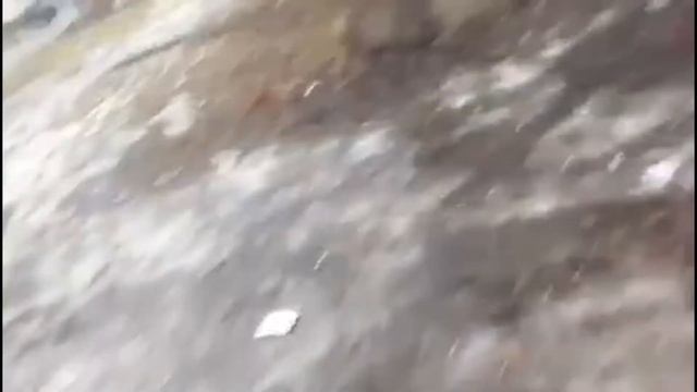 Петарда и двадцать гривень : 1 часть ЧЕЛЕНДЖ !!!!!