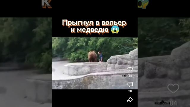 Прыгнул в вольер к медведю