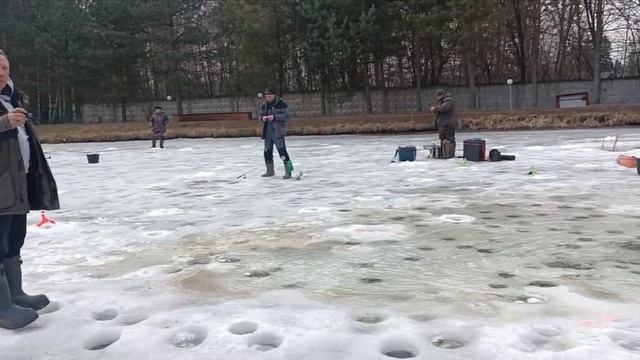 Голицыно Fish 12 марта