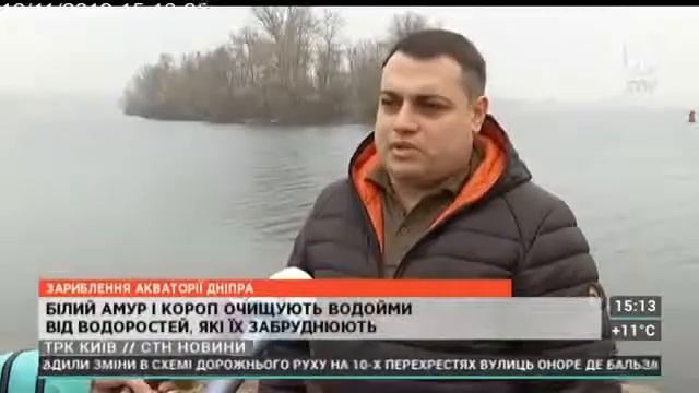 У річку Дніпро випустили 200 тис.  екз.  рослиноїдних видів риб і коропа