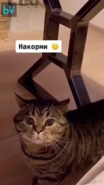 Мои первые слова😄😄😄