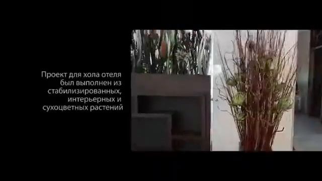 Декор ресепшена нового отеля спортивного комплекса «Олимп»