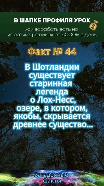 факт (22)