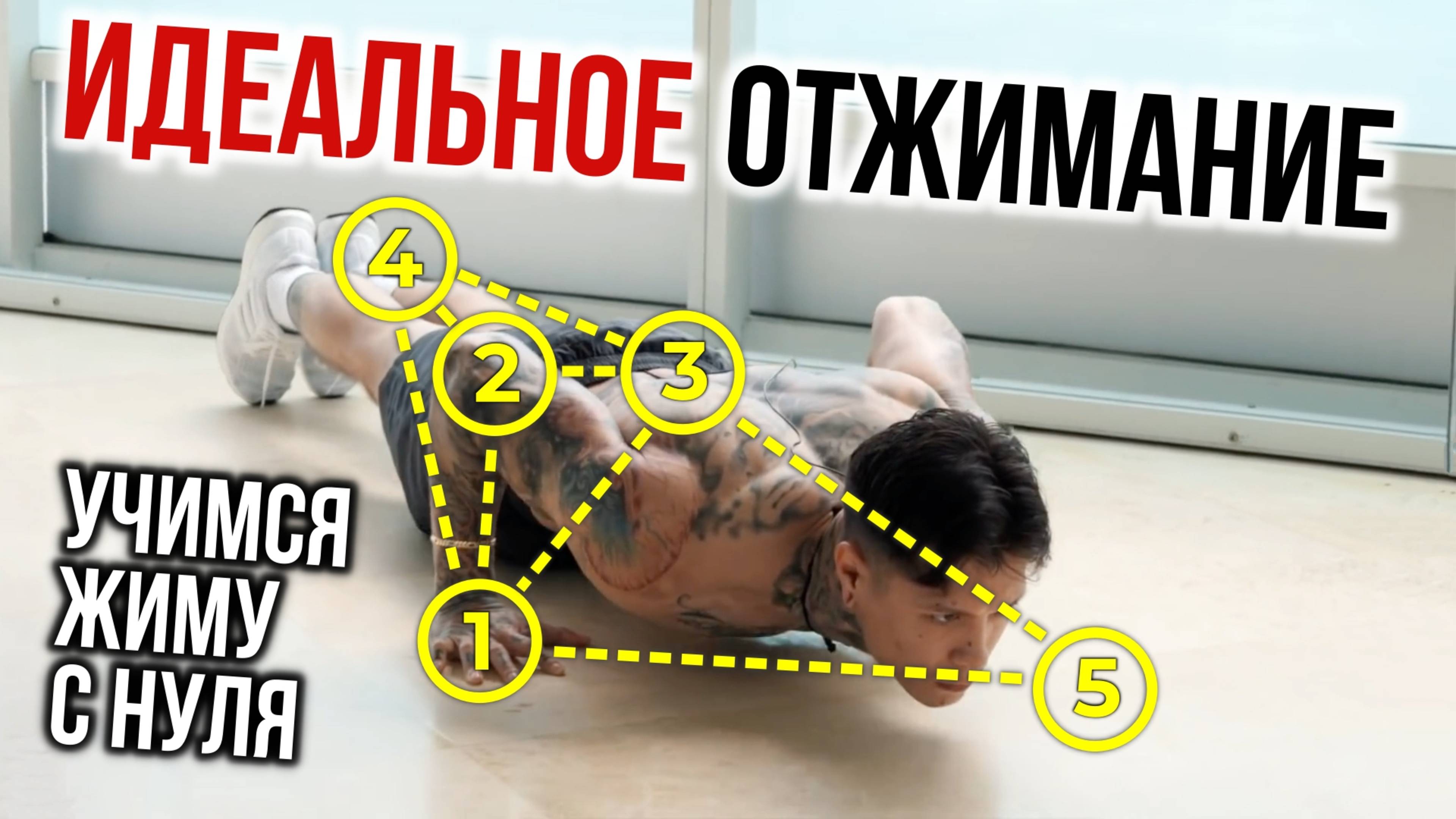 ИДЕАЛЬНОЕ ОТЖИМАНИЕ | учимся жиму С НУЛЯ
