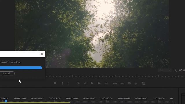 How to Zoom In on Premiere Pro Tutorial