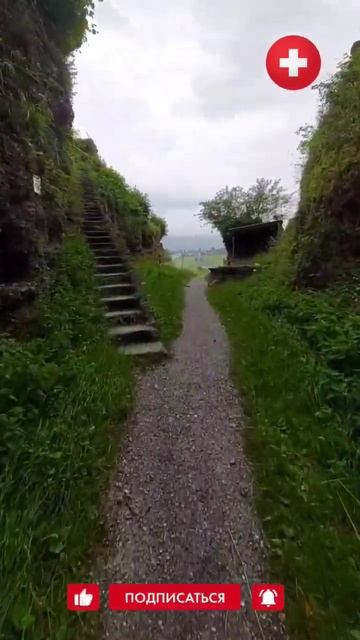 Швейцария, руины замка Альт-Веденсвиль 🇨🇭