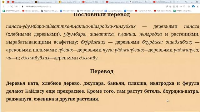 28.12.2022 часть 2. Совместная садхана с Лилой Драупади