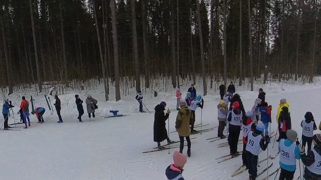 Верещагино, лыжные гонки 01.03.25