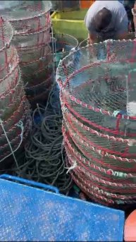 Мы умеем продавать рыбу в розницу, знаем что такое сервис , кайфуйте с нами