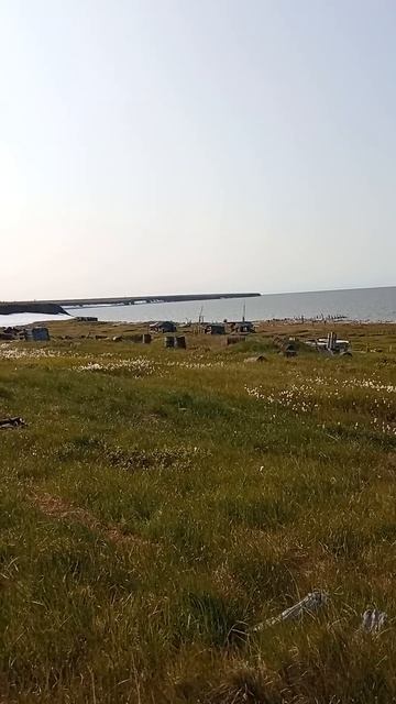 Сезон 15 серия 129 Памятник