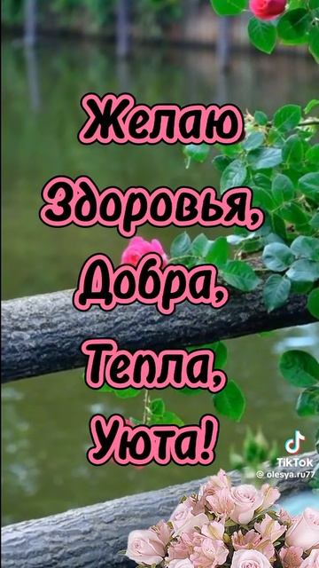 VID-20250312-WA0002