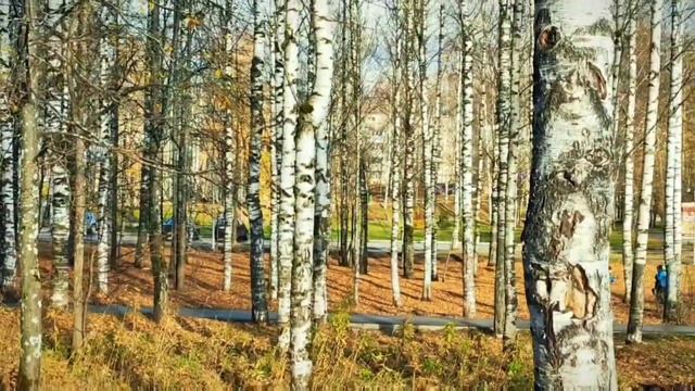 Как Найти Беличий Мостик /BelkaLife