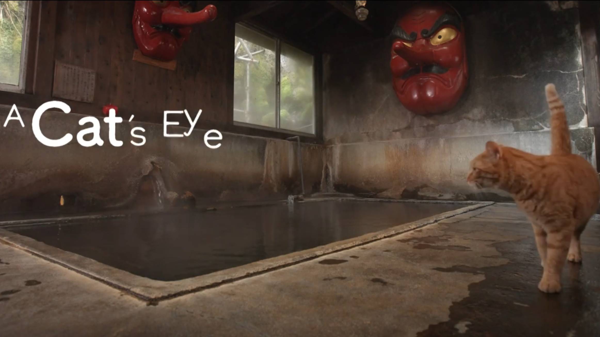 TOCHIGI - Cats eye