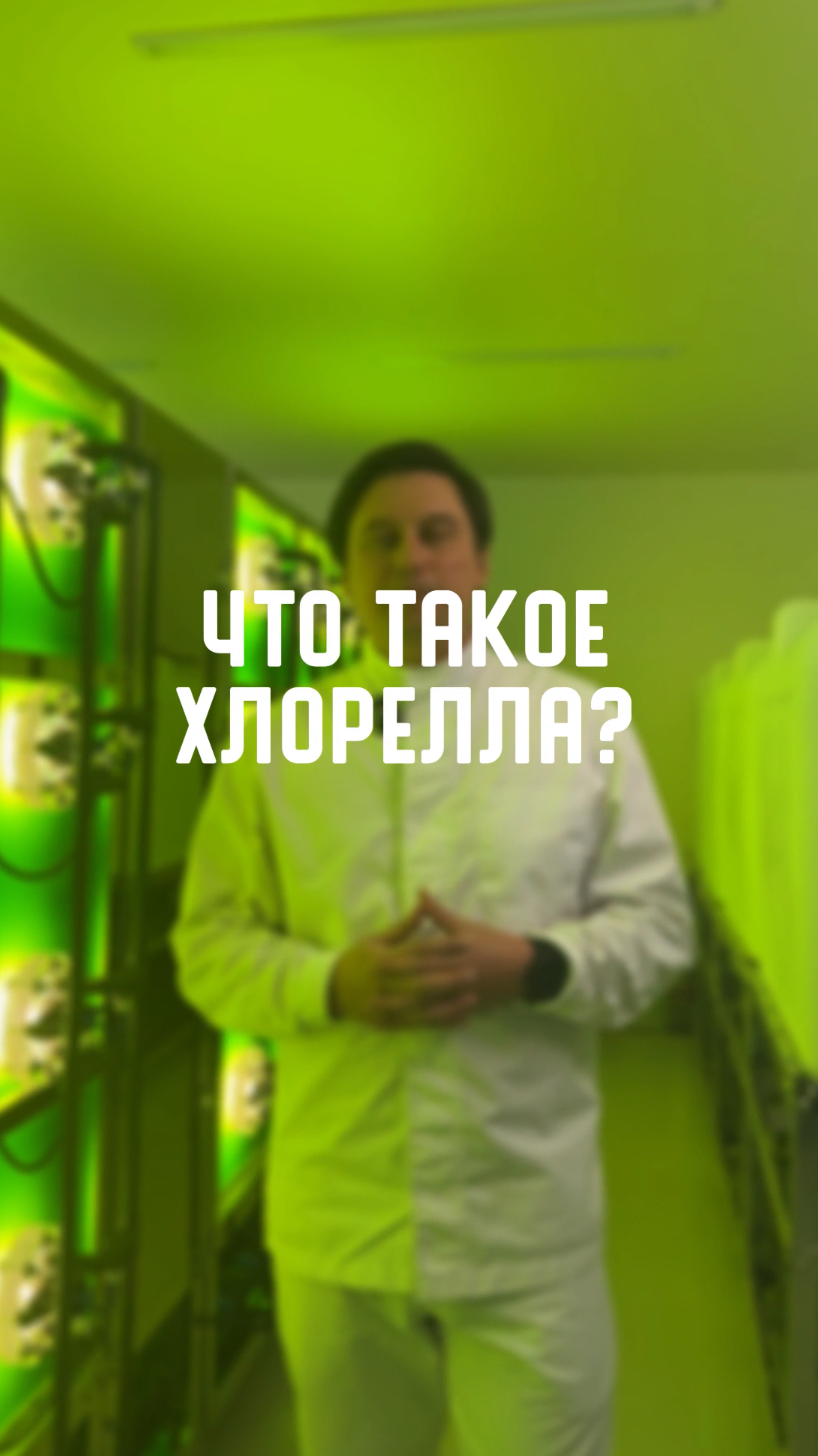 Что такое хлорелла?