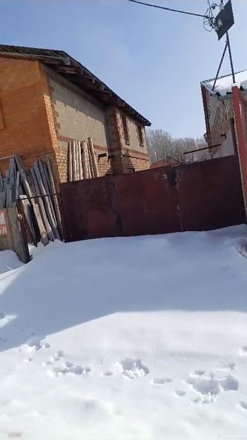 WhatsApp Video 2025-03-11 at 13.18.00