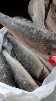 Печень трески и рыбка