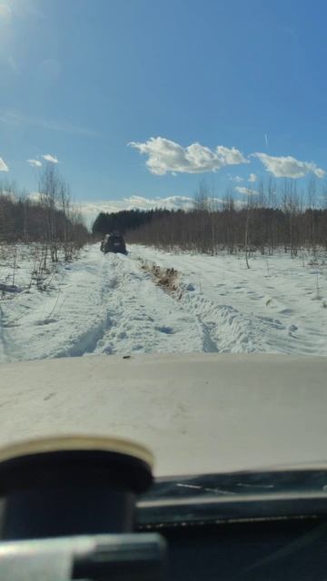 Следы медведя