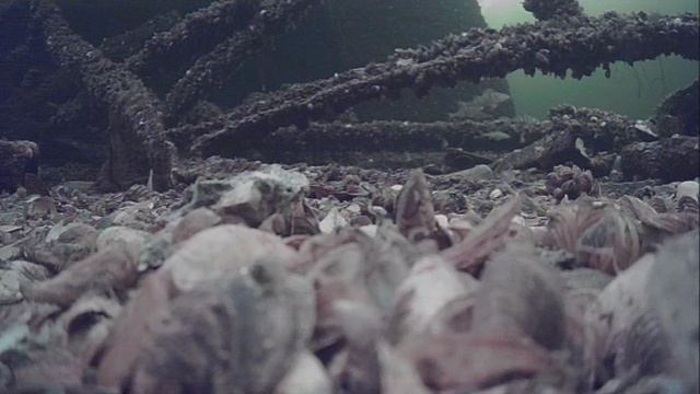 1000039805.mp4Волга гл 5м.12.03 2025г