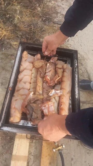 коптим тишу и балык из щуки. #shorts #sokolhobby#щука #балык #тиша #полеваякухня
