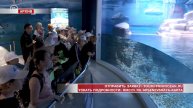 Бесплатно посетить приморский океанариум смогут уссурийские школьники