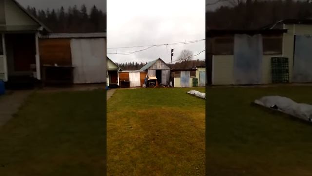 31 декабря 199...года , тьфу 2019года.
