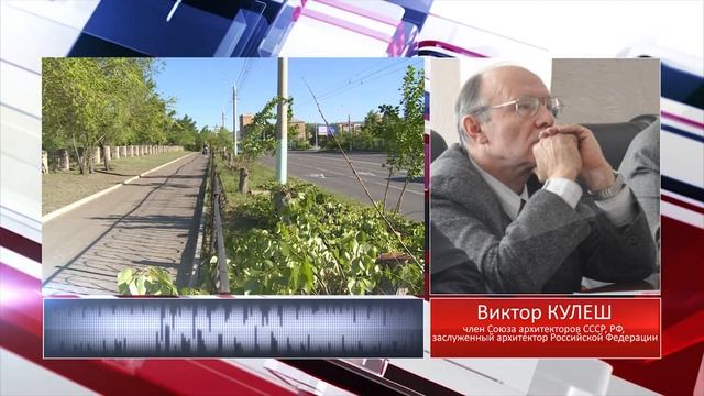 Наступил второй этап уничтожения ранее отравленных деревьев в Чите