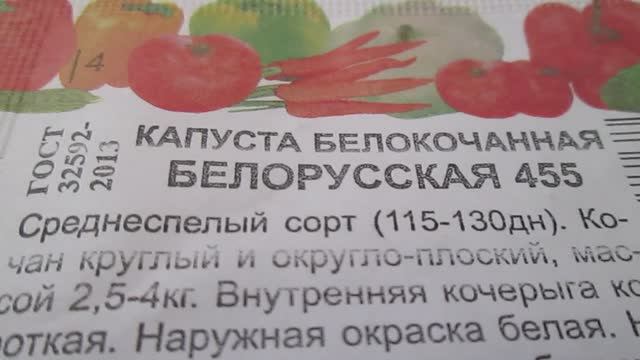 Капуста Белорусская 455 Семена
