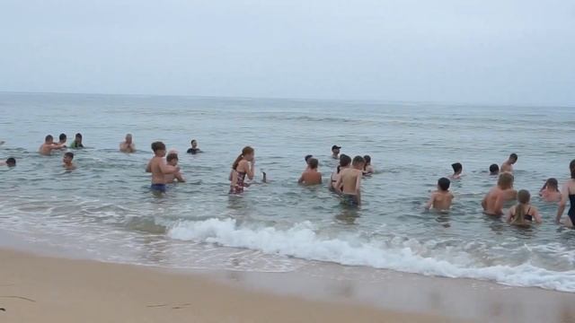 Воспитание гармонично развитой личности. Kyokushin Profi
