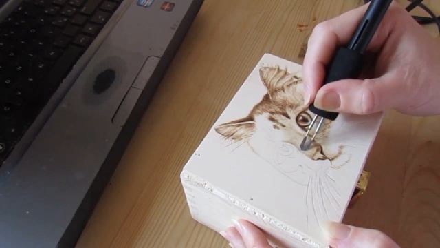 Gatto pirografia di Katerina - woodburning