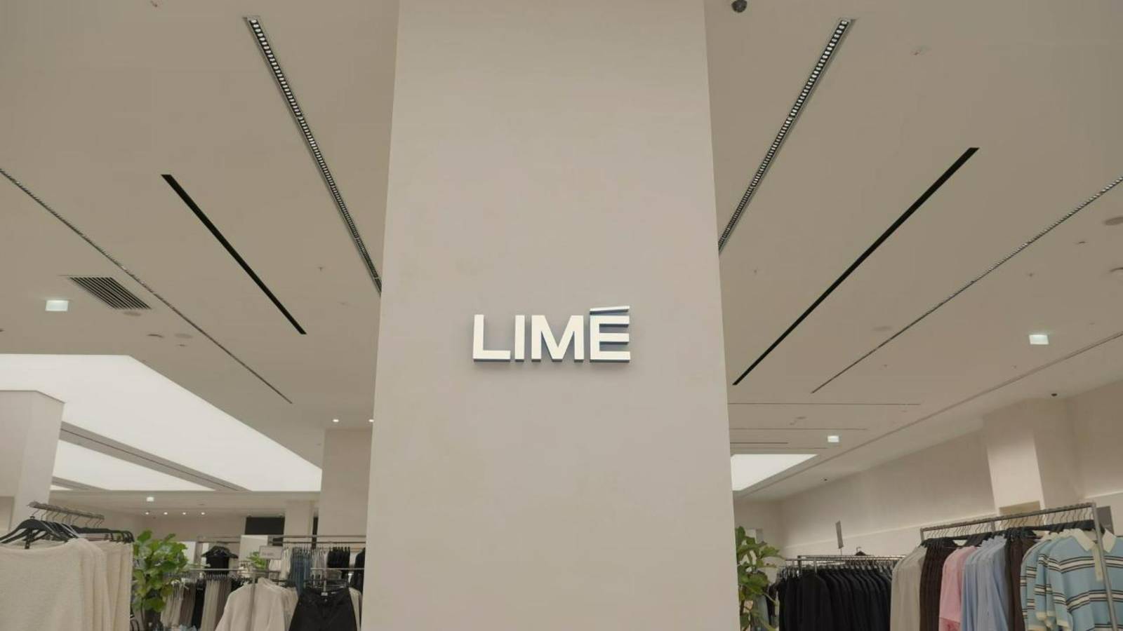 Освещение, которое продает: реализованный проект магазина Lime