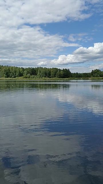 Дача Богашево