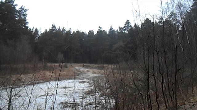ранняя весна в Подмосковье