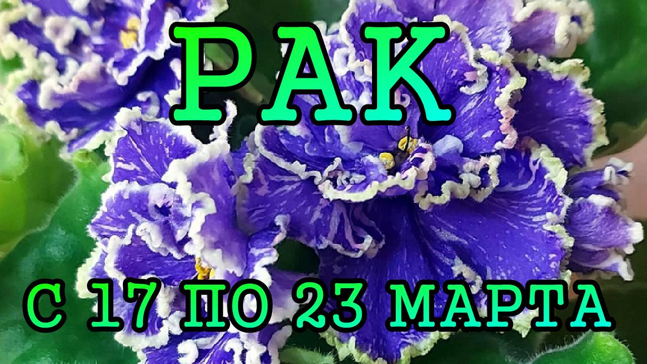 РАК таро прогноз на неделю с 17 по 23 МАРТА 2025 года.