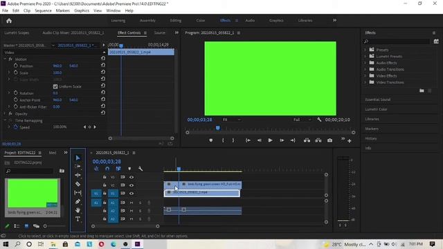 How To  Green Screen(Chromakey) Premiere Pro |How To Remove Green Screen In Premiere Pro |Urdu/Hind