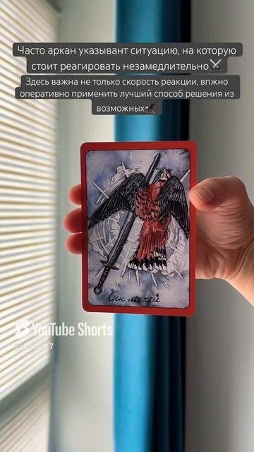 🦅#картадня #cardoftheday #таро #tarot #birds #совет #таропрогноз