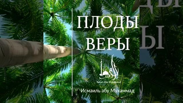 Исмаиль абу Мухаммад "Плоды Веры"
