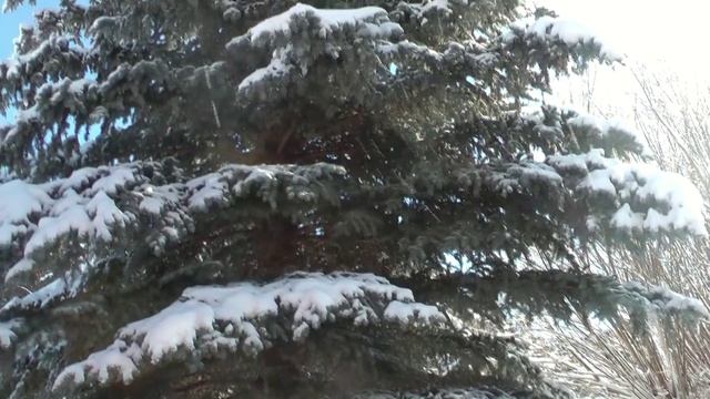 Снегопад.