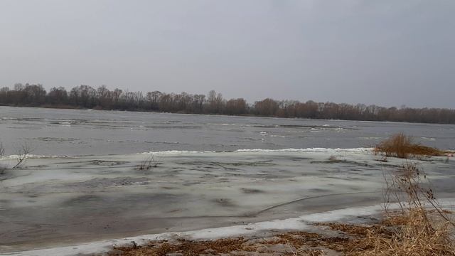 12-03-2025 12 марта. Утренняя прогулка на речку, в надежде увидеть полноценный ледоход, но, увы!