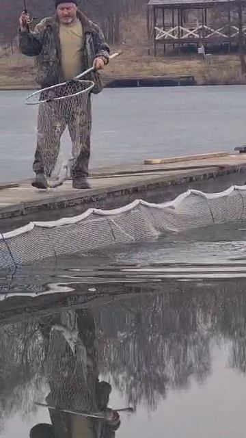 Велинка рыбалка по открытой воде март