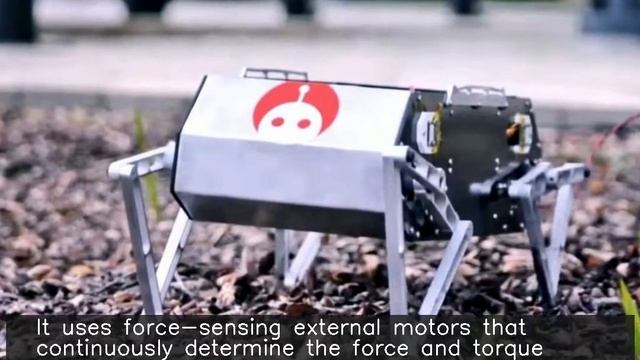 Stanford's $3,000 robot Doggo does backflips without springs