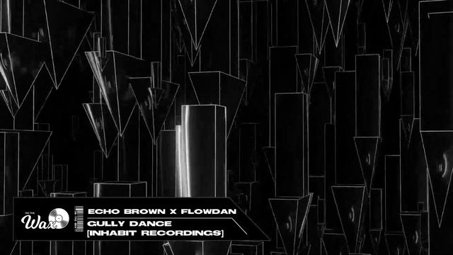 Echo Brown X Flowdan - Gully Dance [inHabit Recordings]