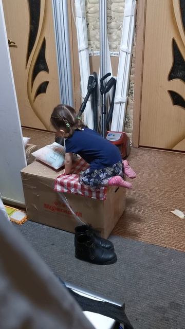 VID_20230206_203749
