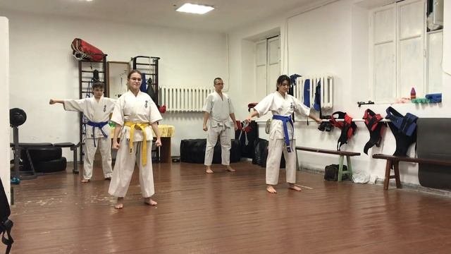 Проверка конечного положения рук в стойке «Йой дати» Подготовка к экзамену
