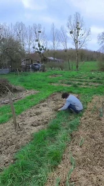 et toi qu'est-ce que tu penses de l'autonomie alimentaire ? #potager #jardin #permaculture #astuce